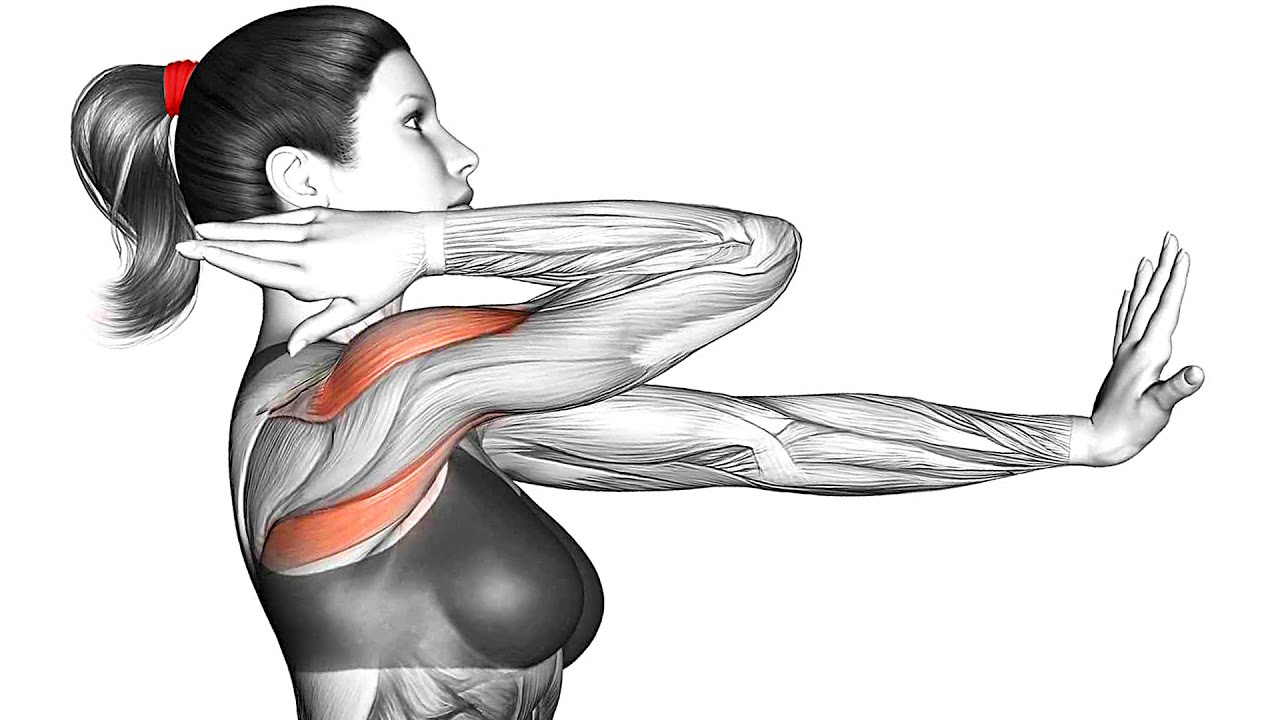 How to Get Rid of Flabby Arms – 8 Best at Home Exercises