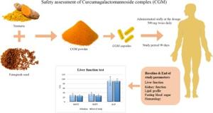 Safety assessment of a highly bioavailable curcumin ...