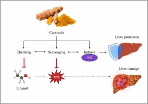 Alcohol-induced liver injury in signalling pathways and ...