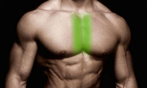midchest1