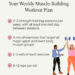 weekly-muscle-building-plan